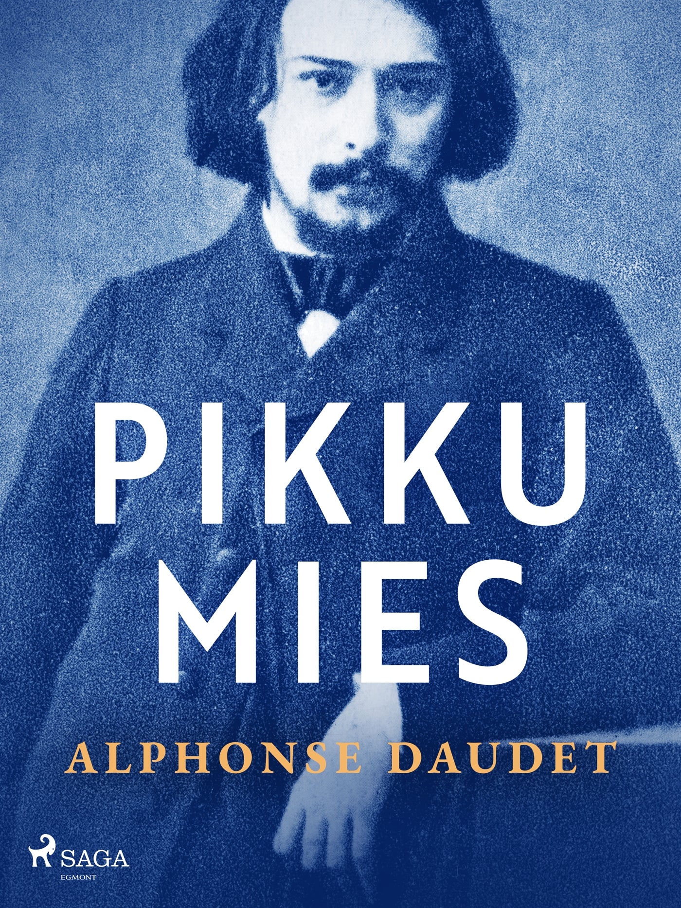 Pikku mies – E-bok