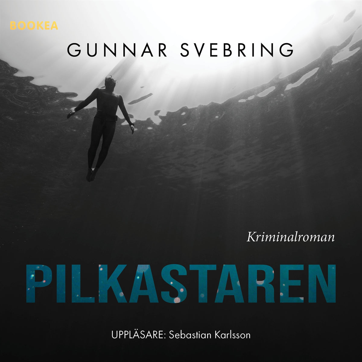 Pilkastaren – Ljudbok