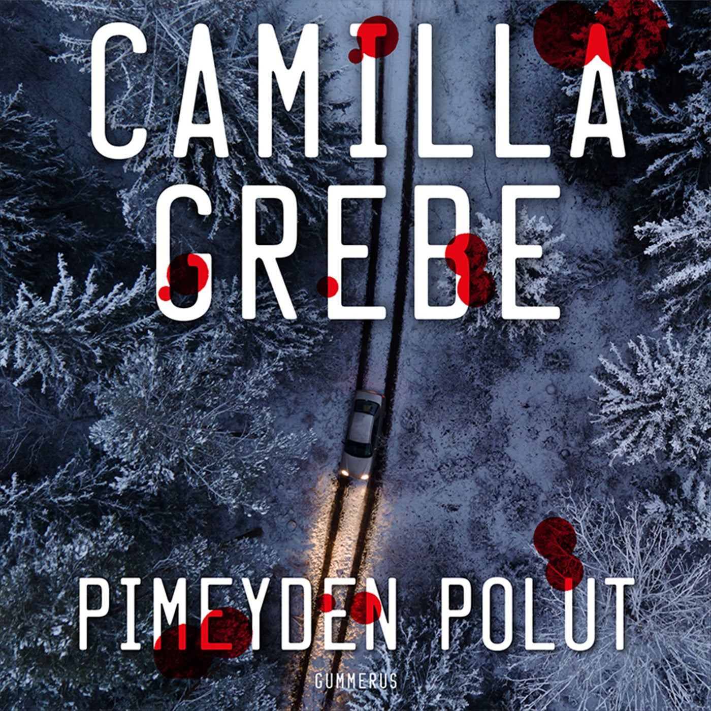 Pimeyden polut – Ljudbok