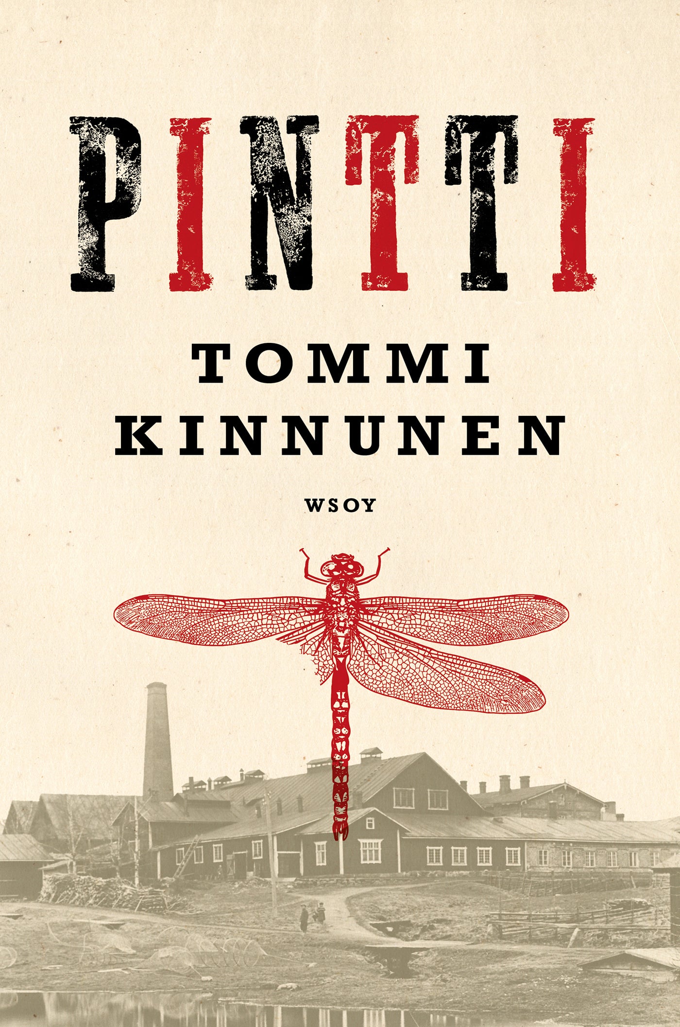 Pintti – E-bok