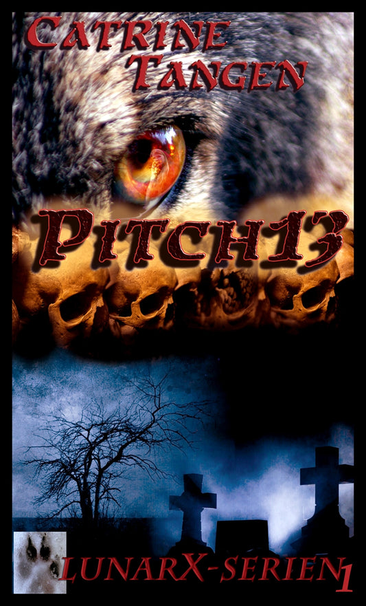 Pitch13 – E-bok