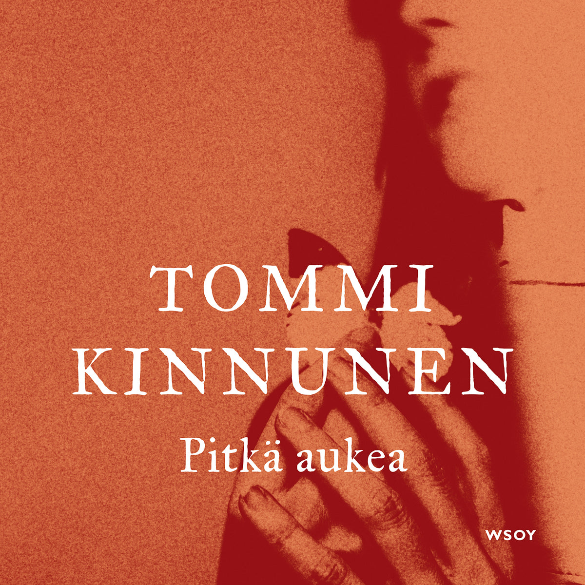 Pitkä aukea – Ljudbok