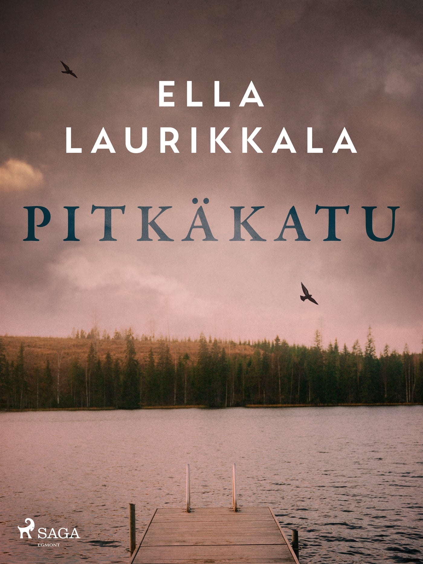 Pitkäkatu – E-bok