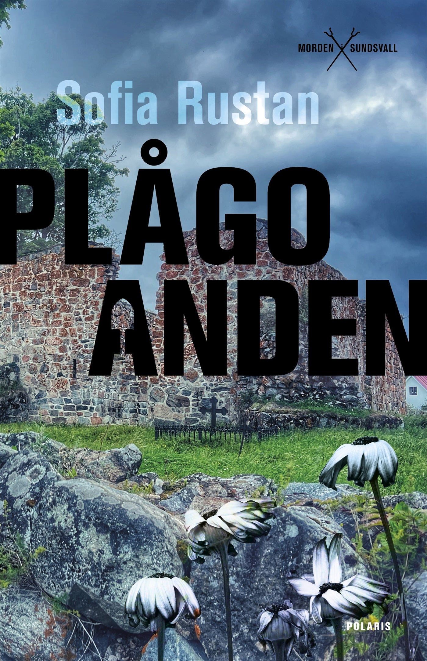 Plågoanden – E-bok