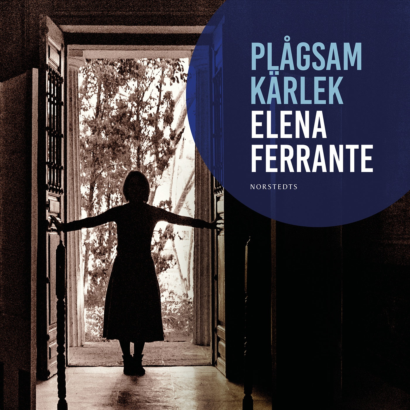 Plågsam kärlek – Ljudbok