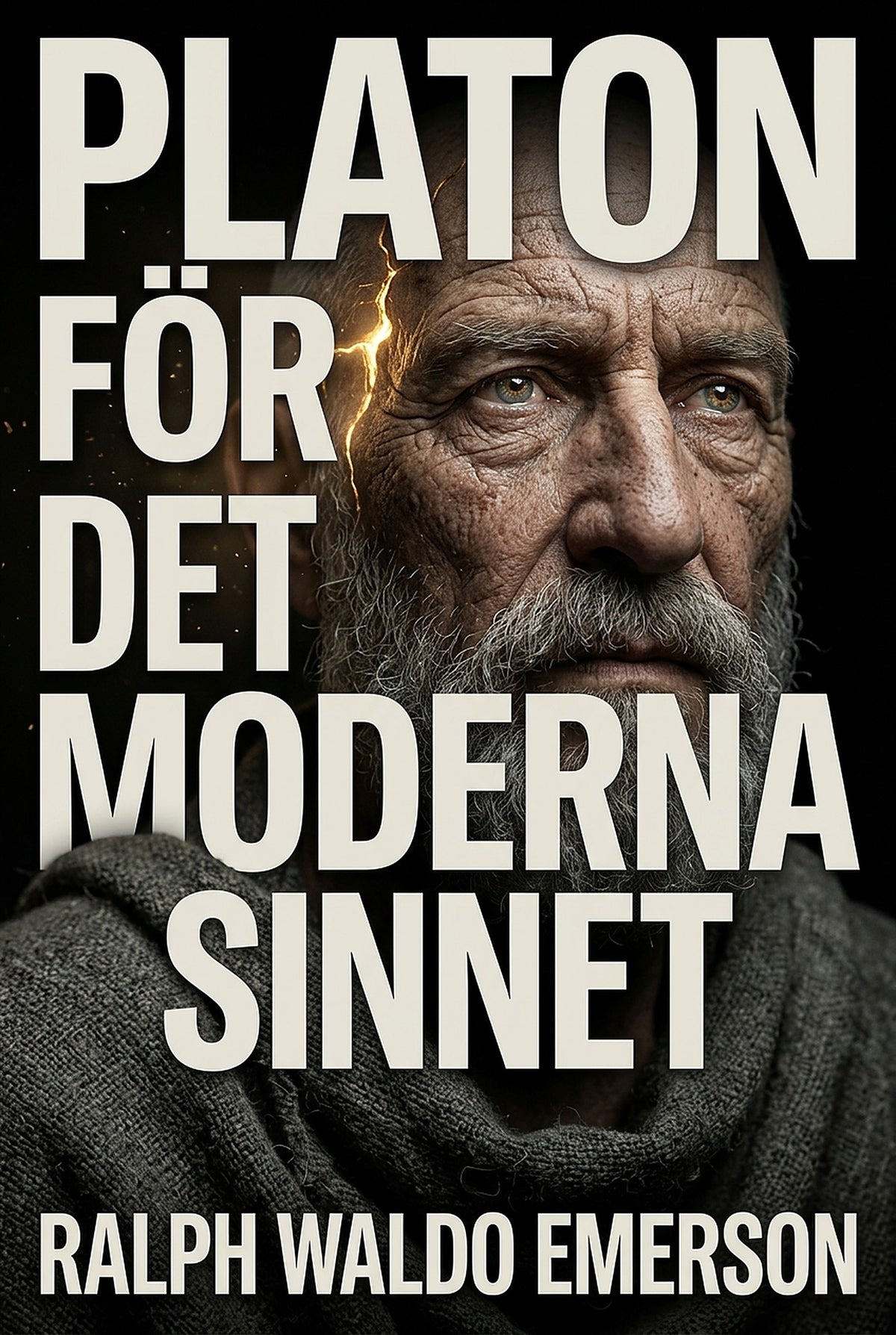 Platon för det moderna sinnet – E-bok