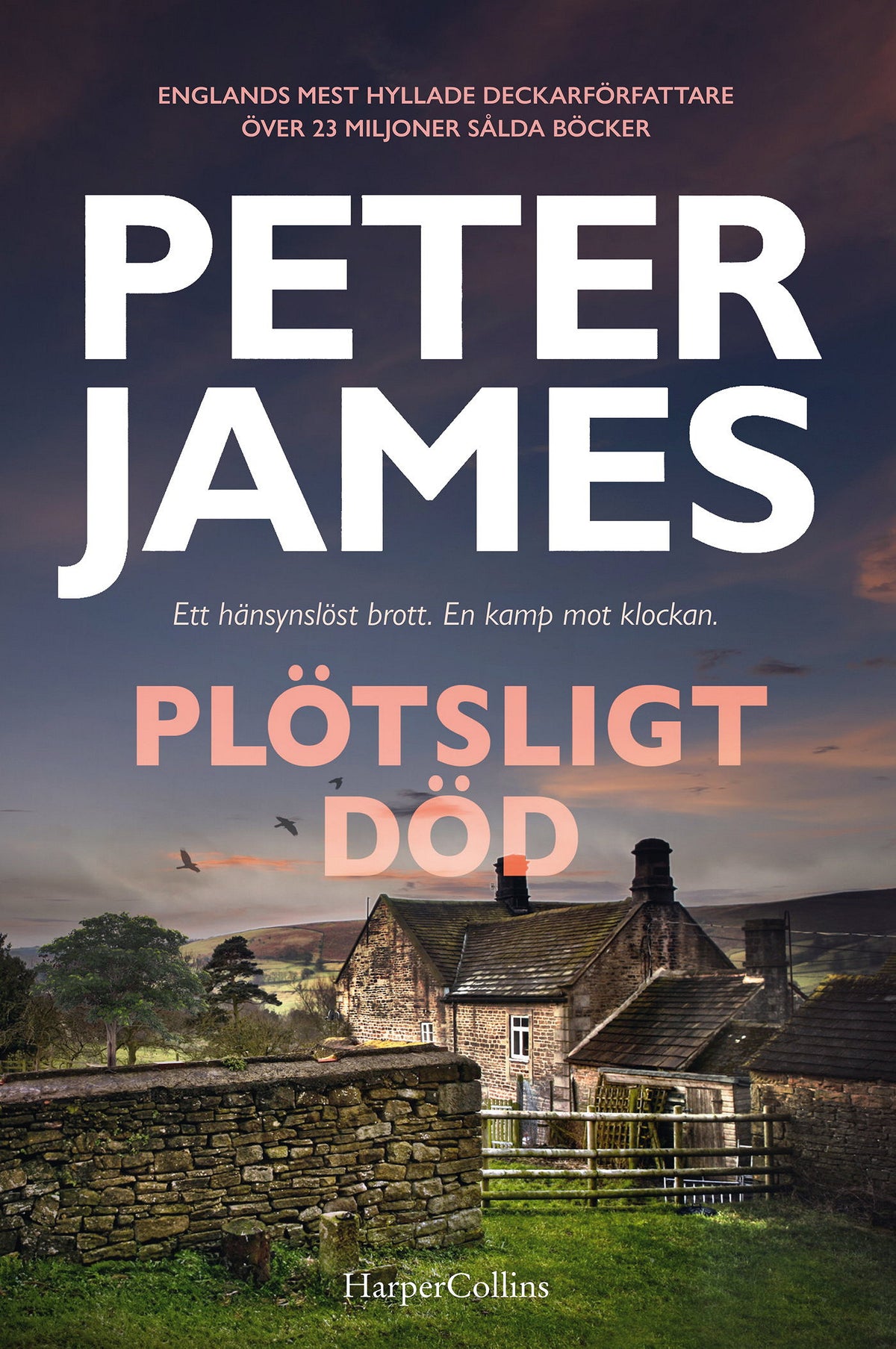 Plötsligt död – E-bok