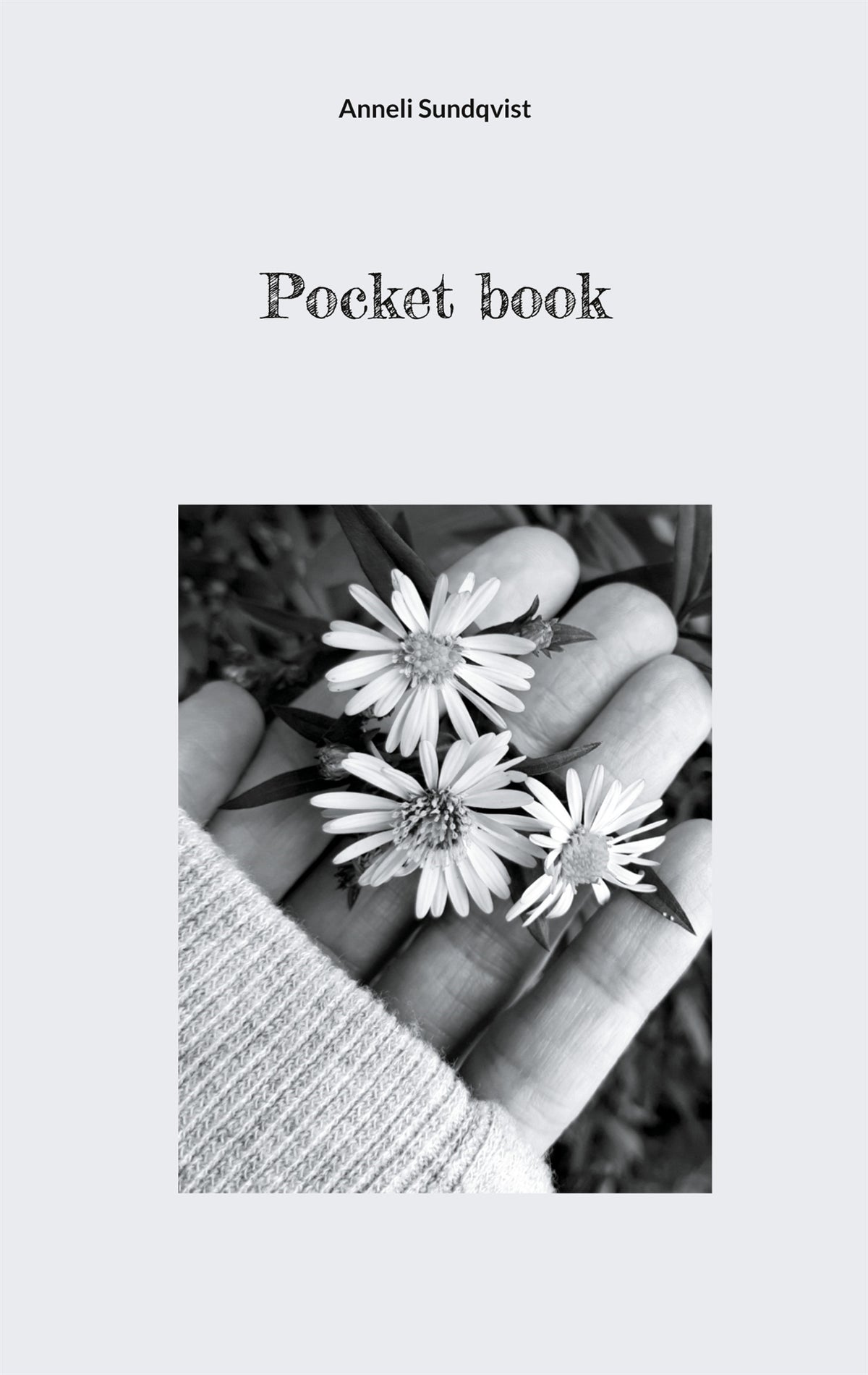 Pocket book – E-bok