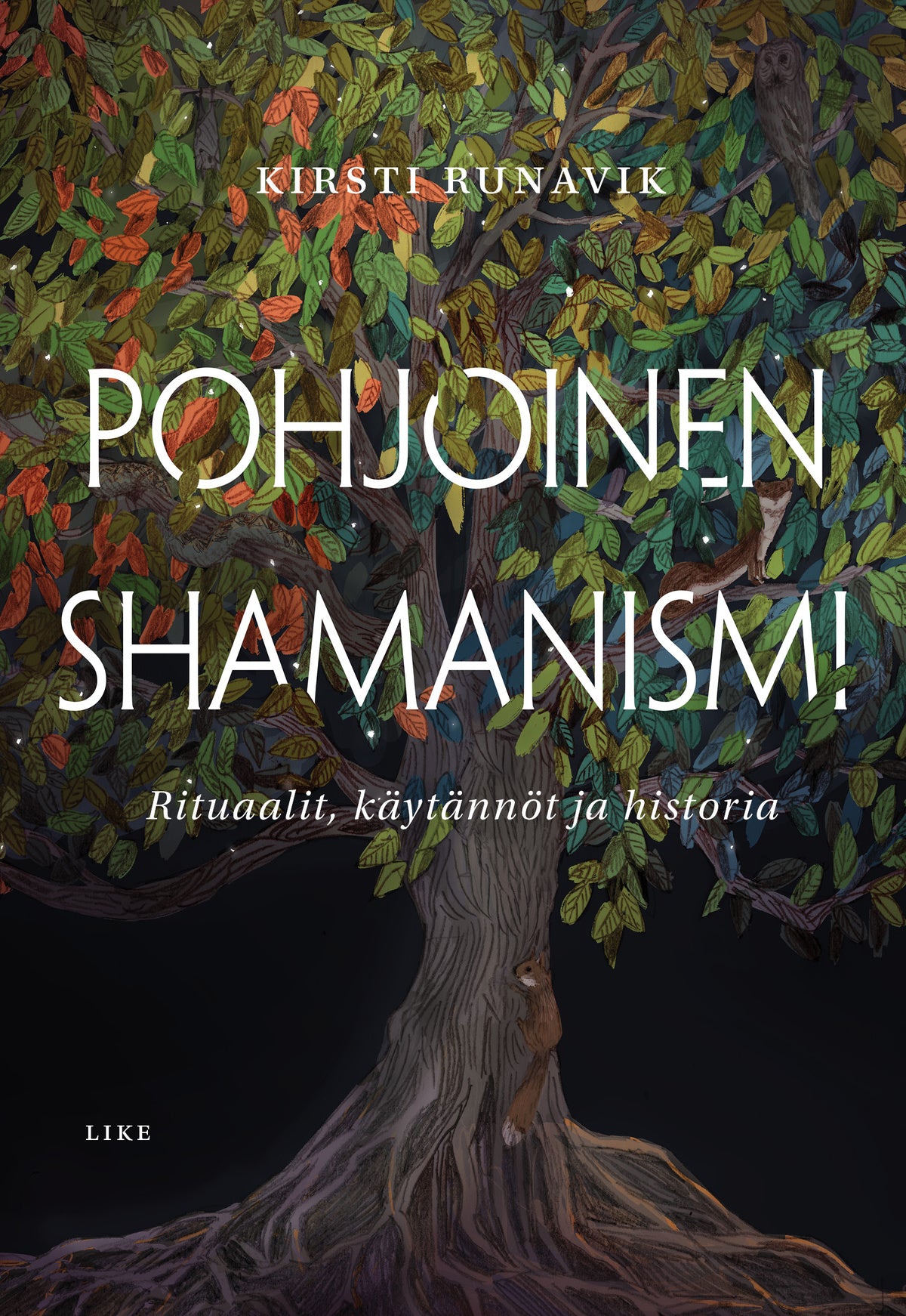 Pohjoinen shamanismi – E-bok