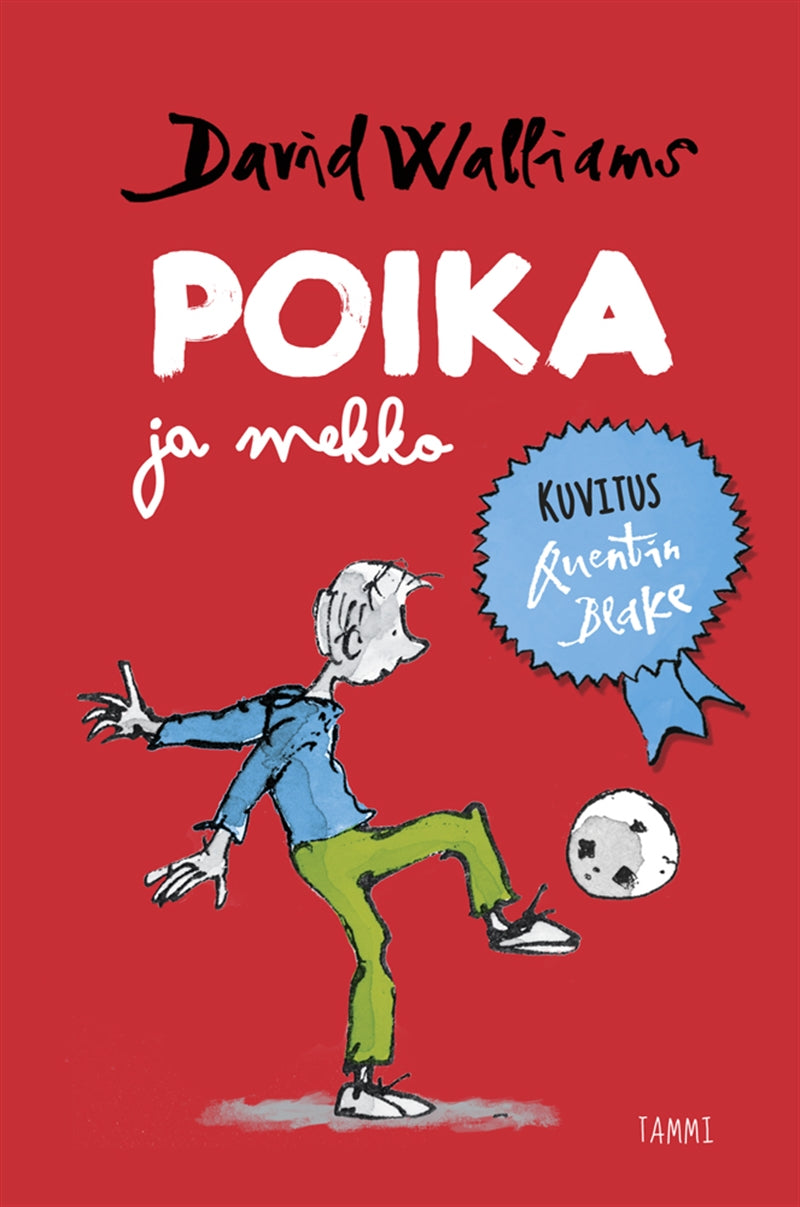 Poika ja mekko – E-bok