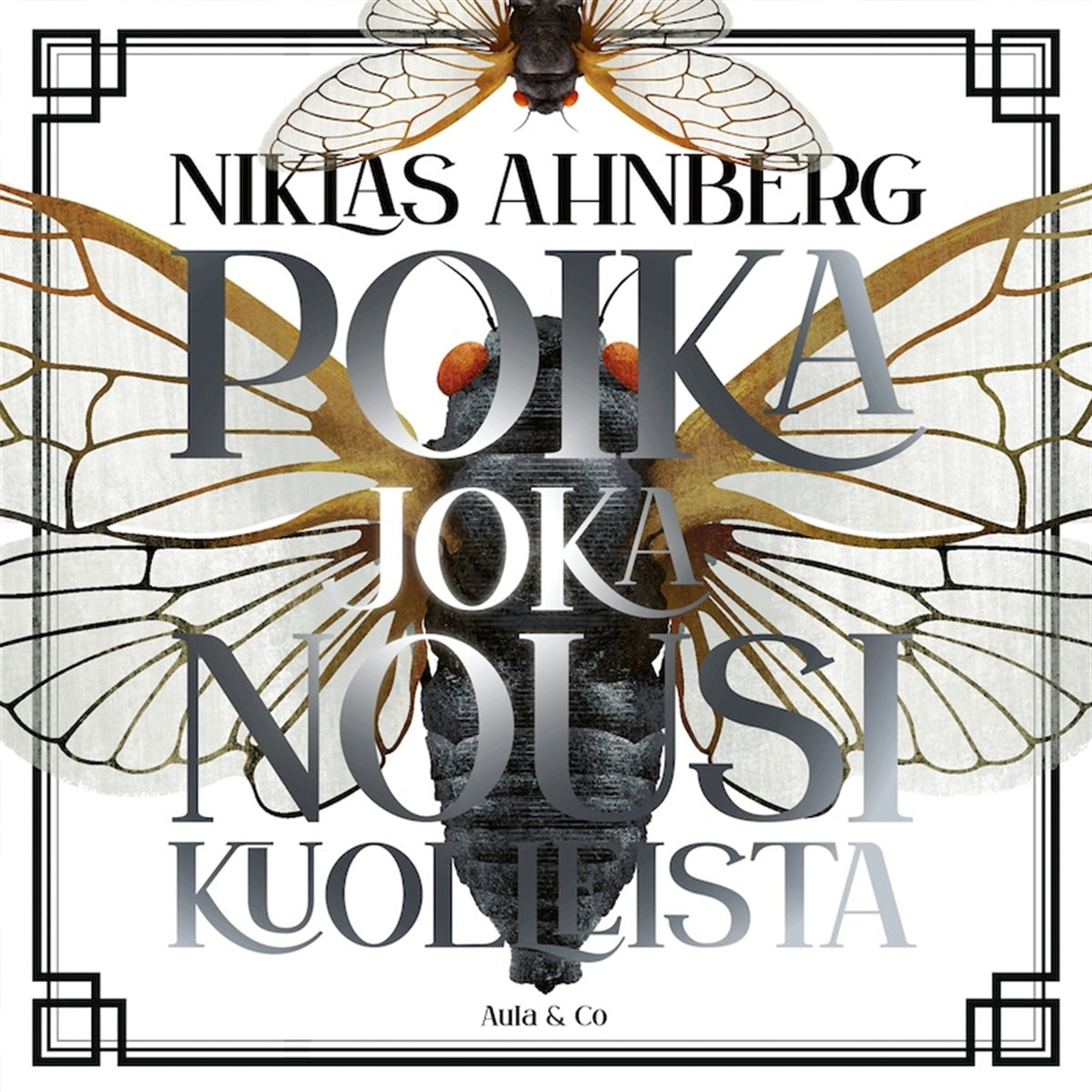 Poika joka nousi kuolleista – Ljudbok