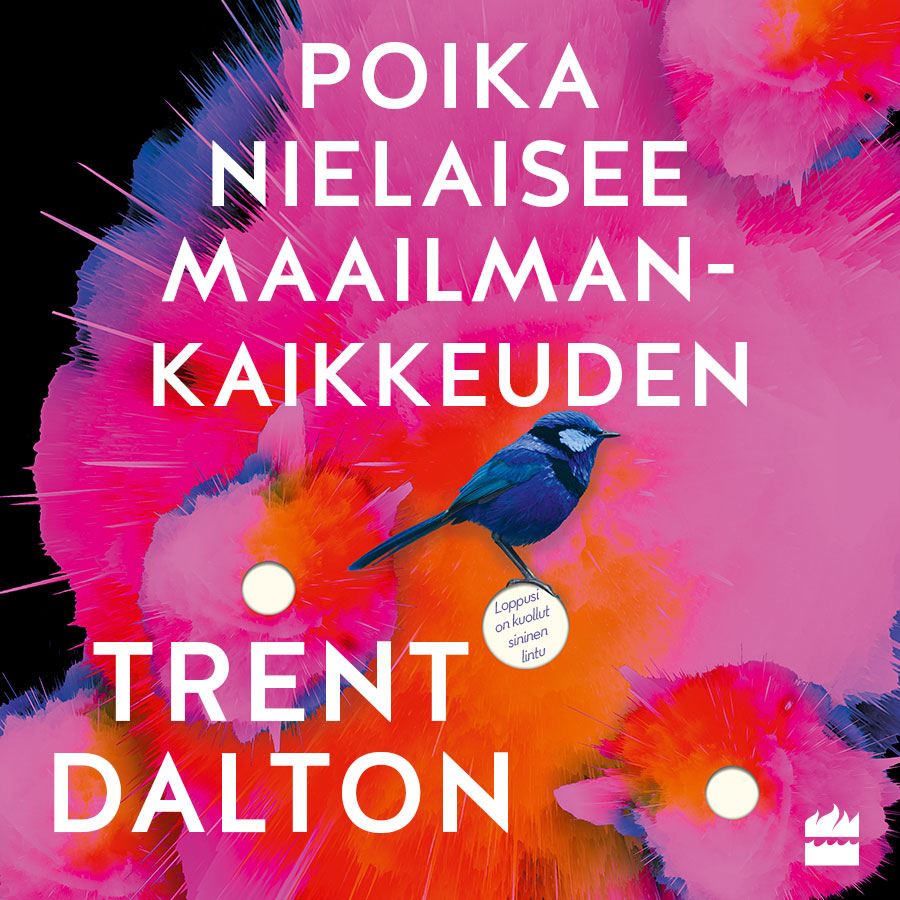 Poika nielaisee maailmankaikkeuden – Ljudbok