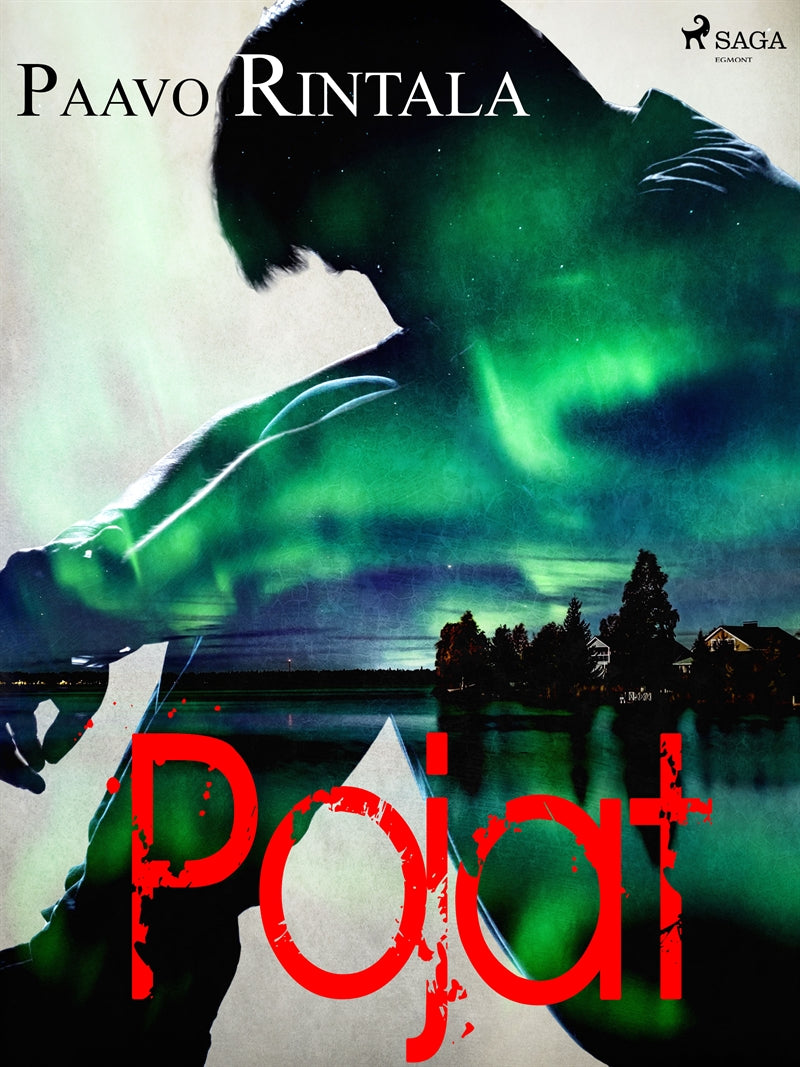 Pojat – E-bok