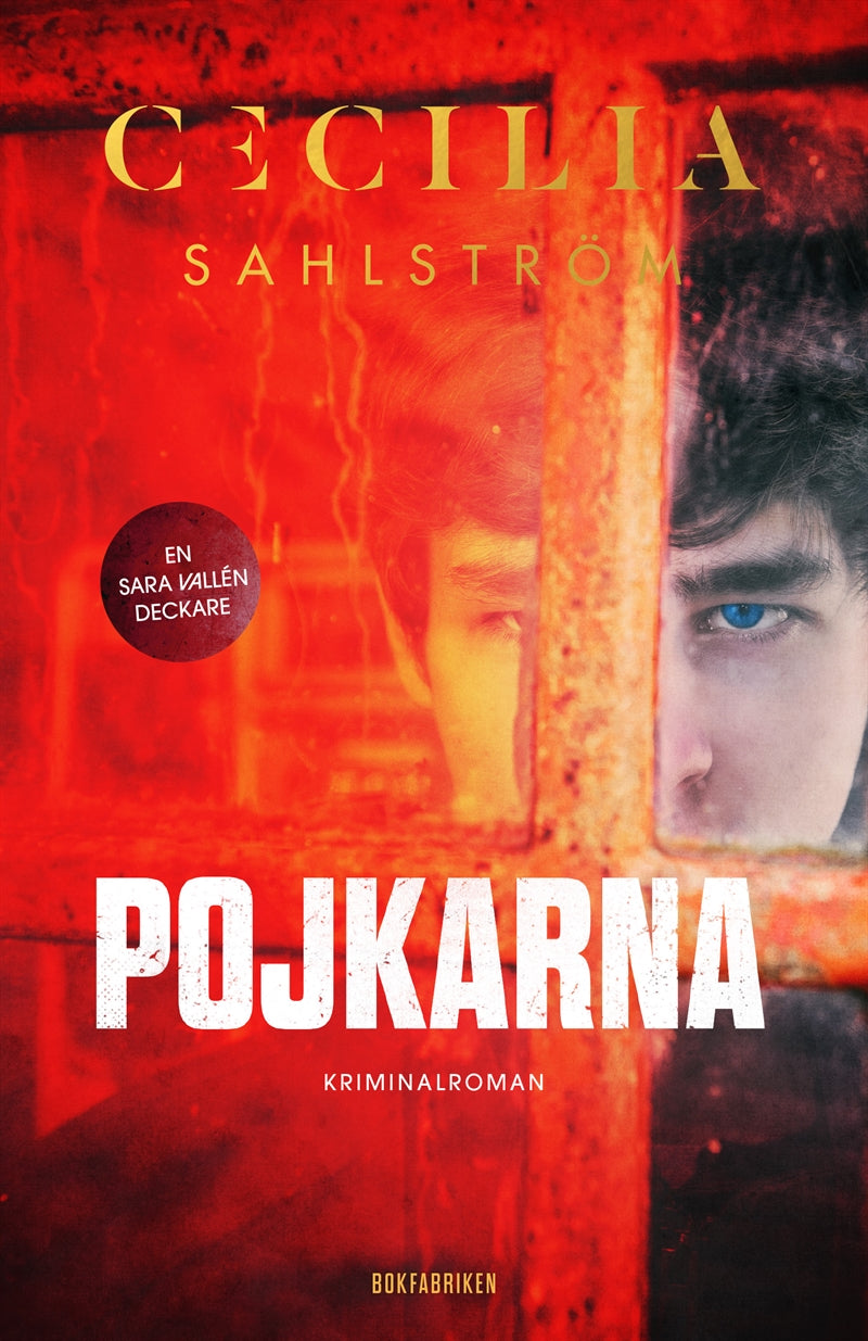 Pojkarna – E-bok