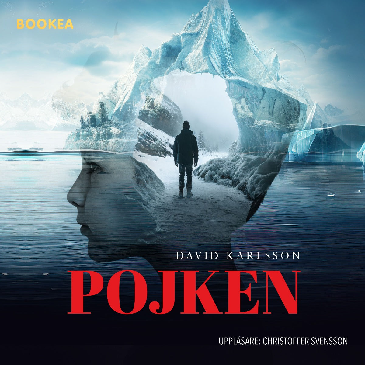 Pojken – Ljudbok