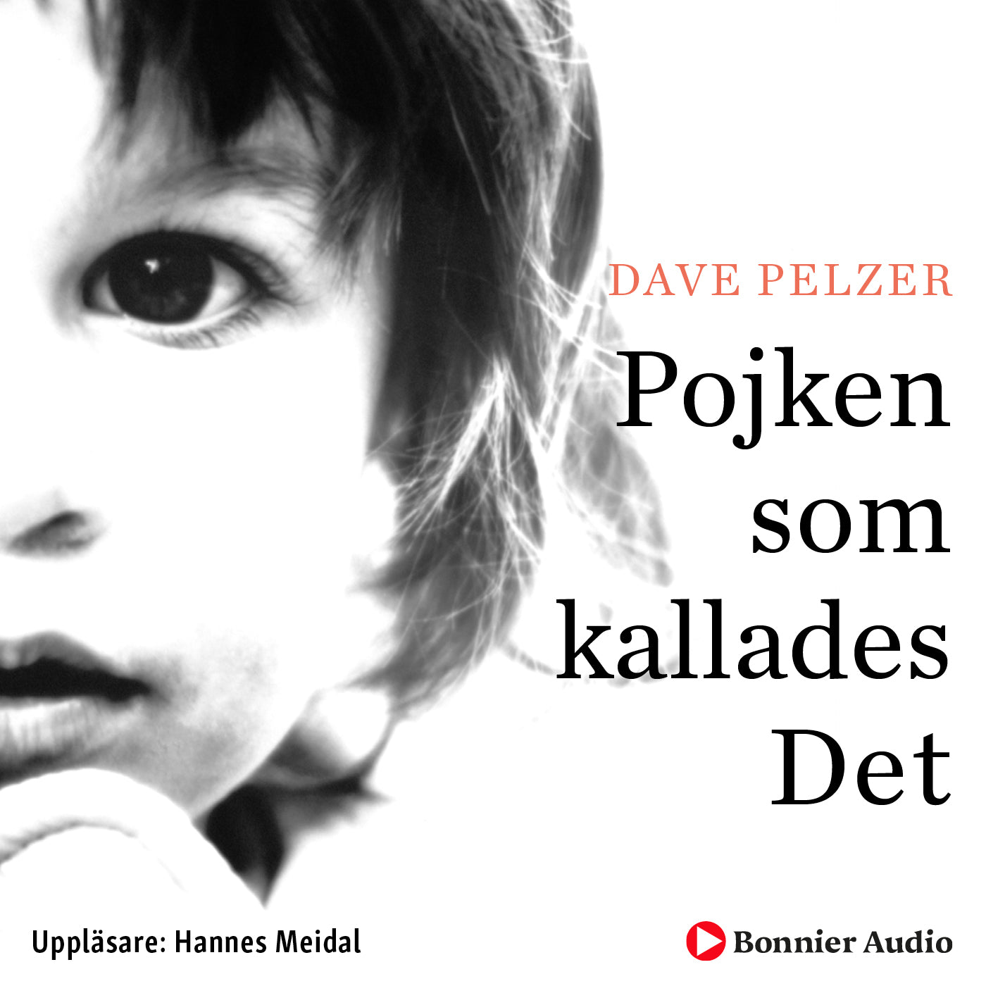 Pojken som kallades det – Ljudbok