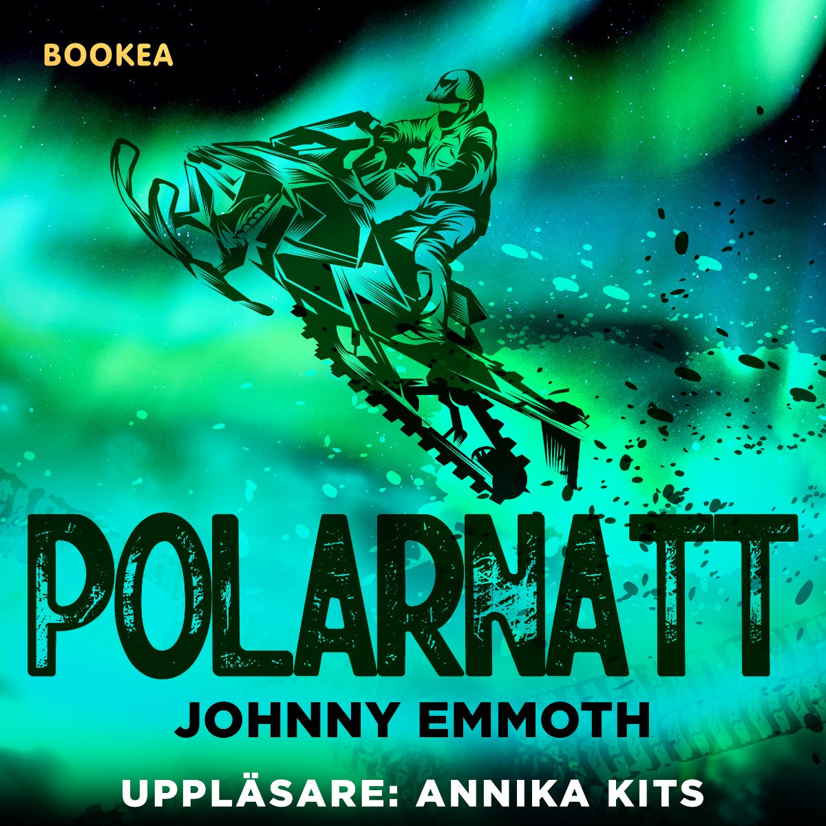 Polarnatt – Ljudbok
