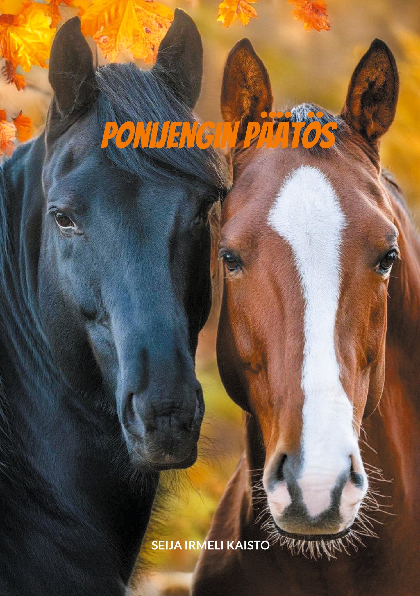 Ponijengin päätös – E-bok