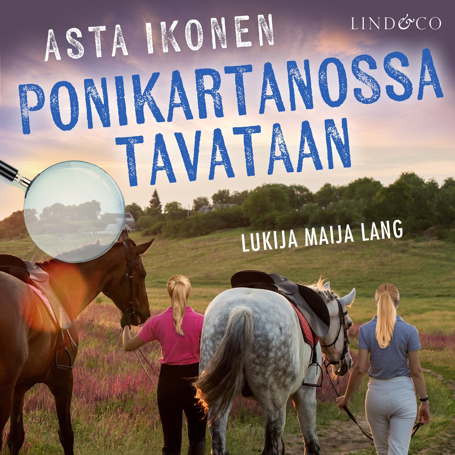 Ponikartanossa tavataan – Ljudbok