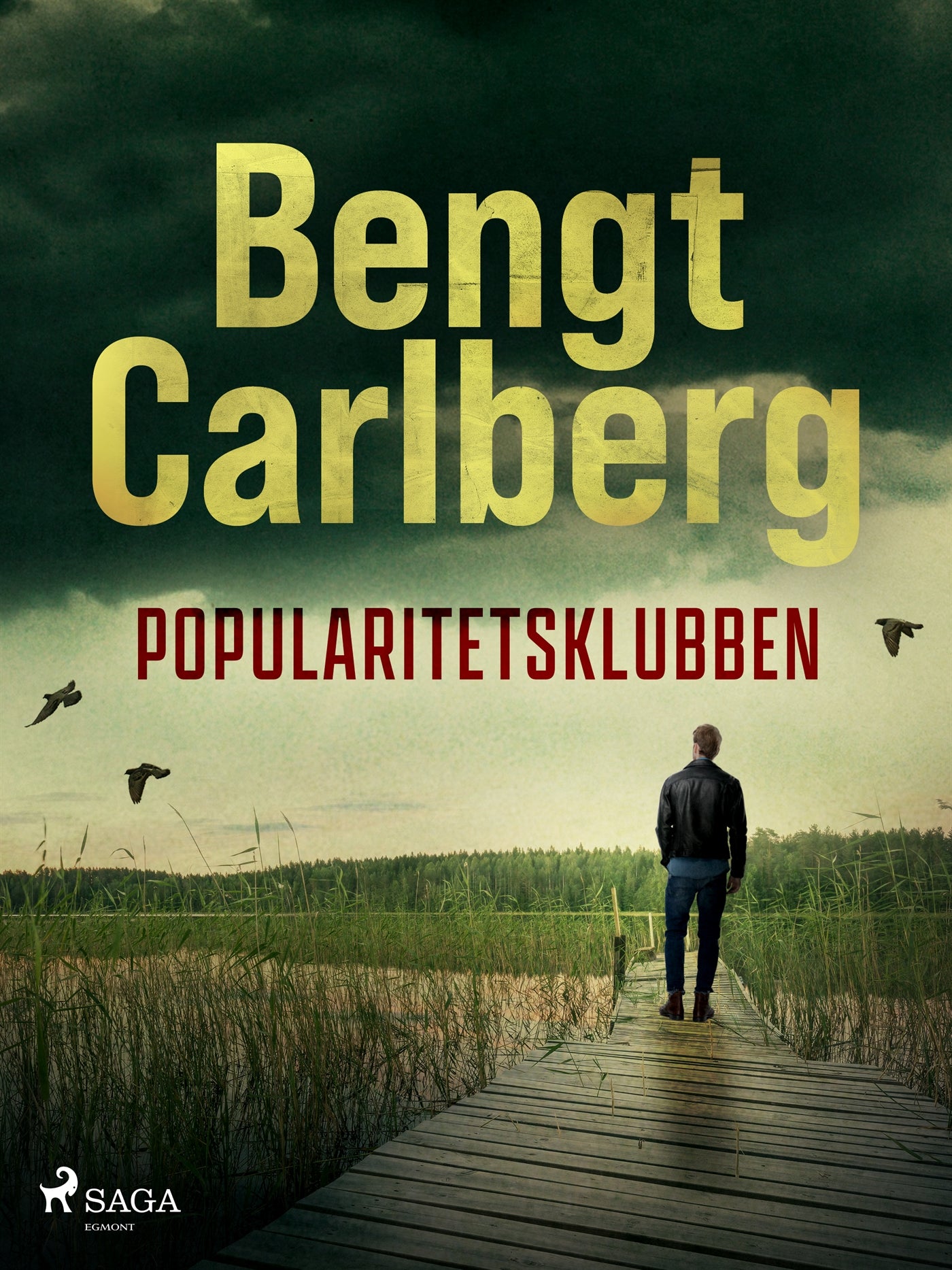 Popularitetsklubben – E-bok