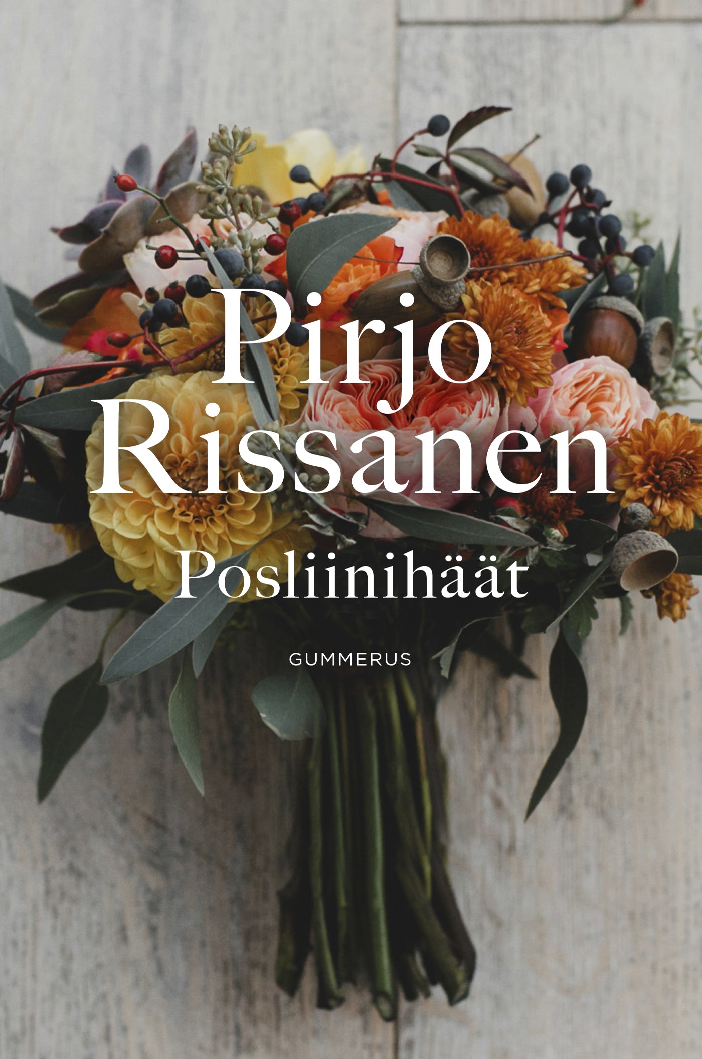 Posliinihäät – E-bok