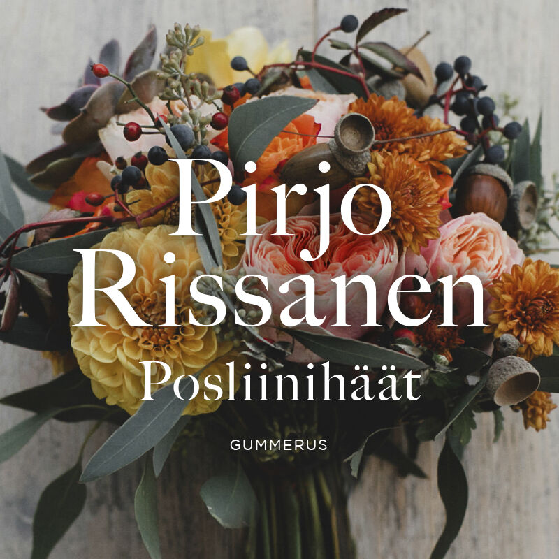 Posliinihäät – Ljudbok