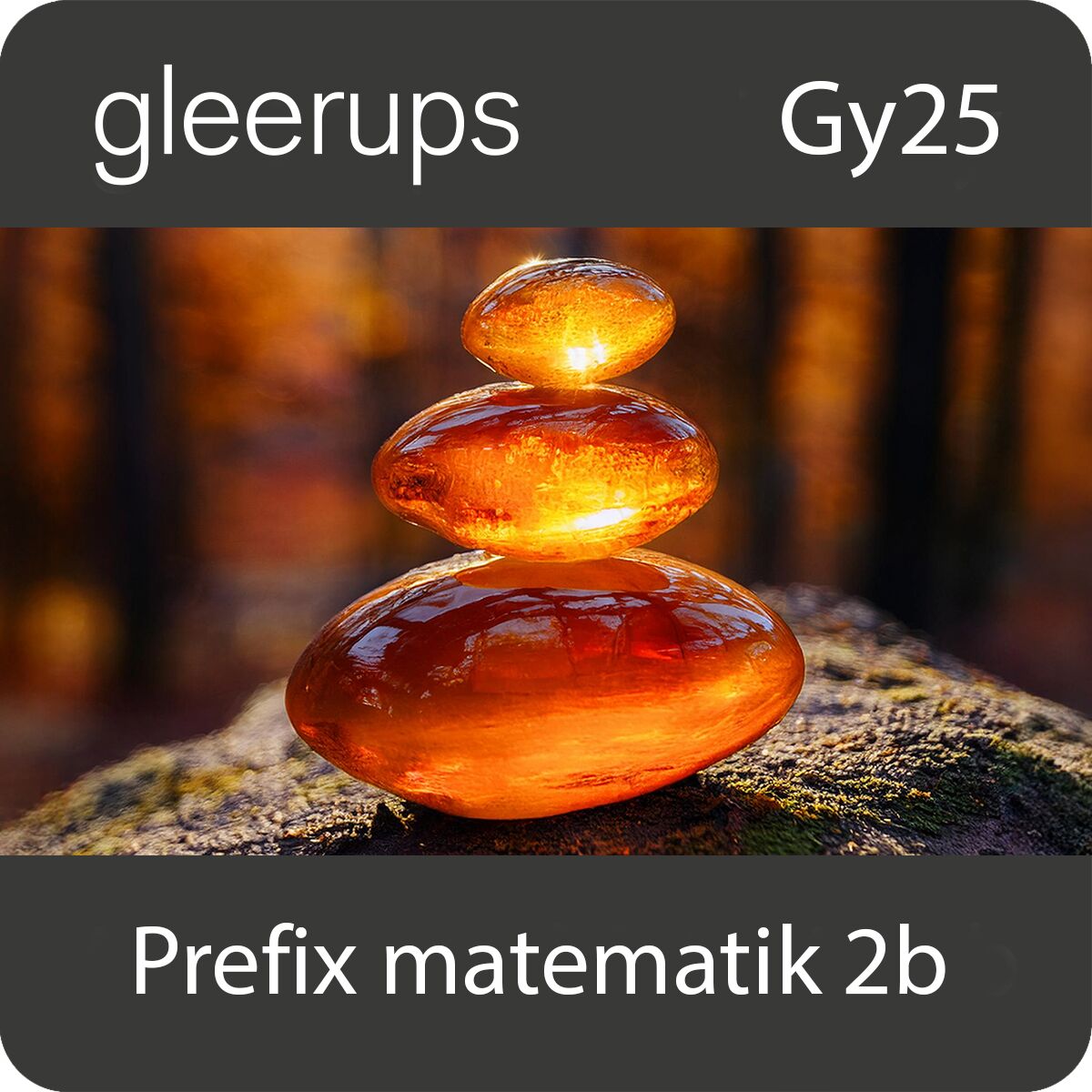 Prefix matematik 2b, digitalt läromedel, elev, 6 mån, Gy25