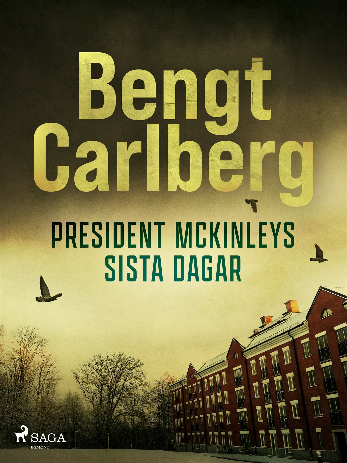 President McKinleys sista dagar – E-bok