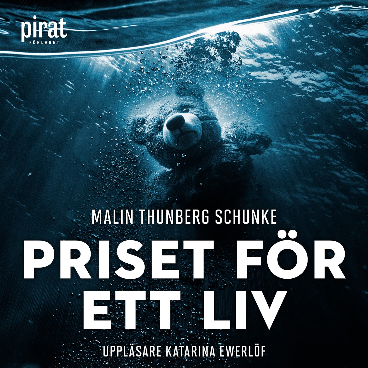 Priset för ett liv – Ljudbok