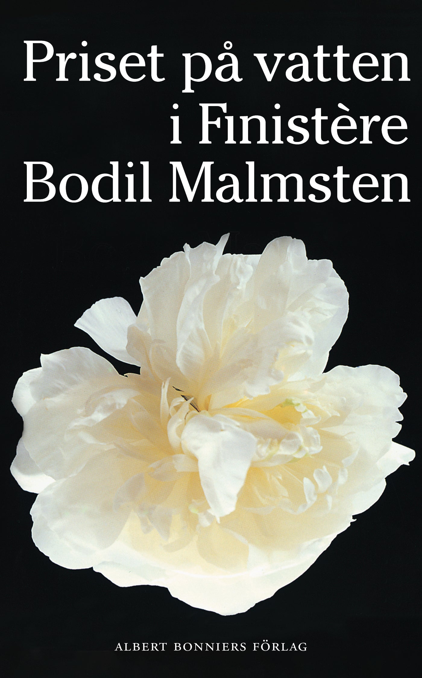 Priset på vatten i Finistère – E-bok