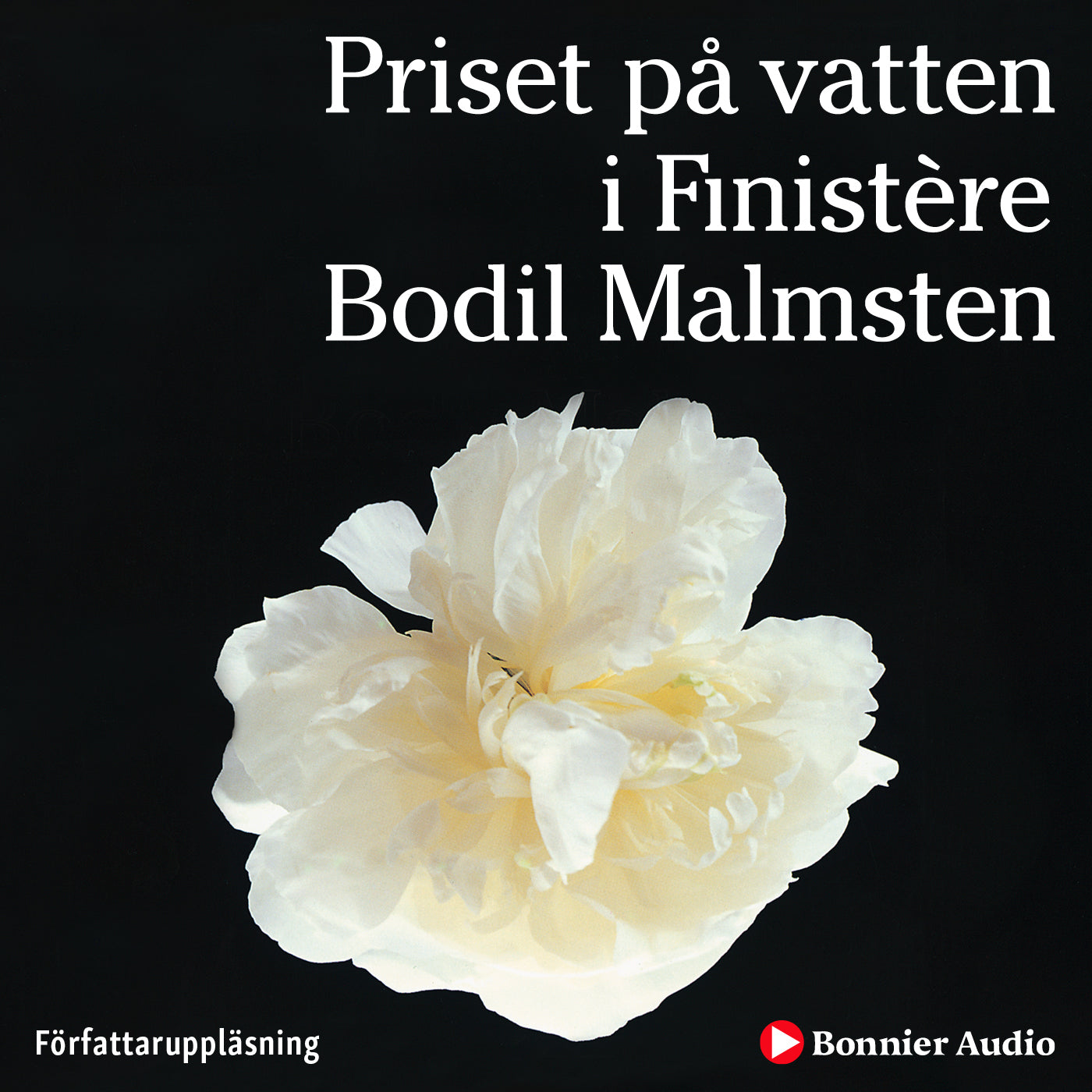 Priset på vatten i Finistère – Ljudbok