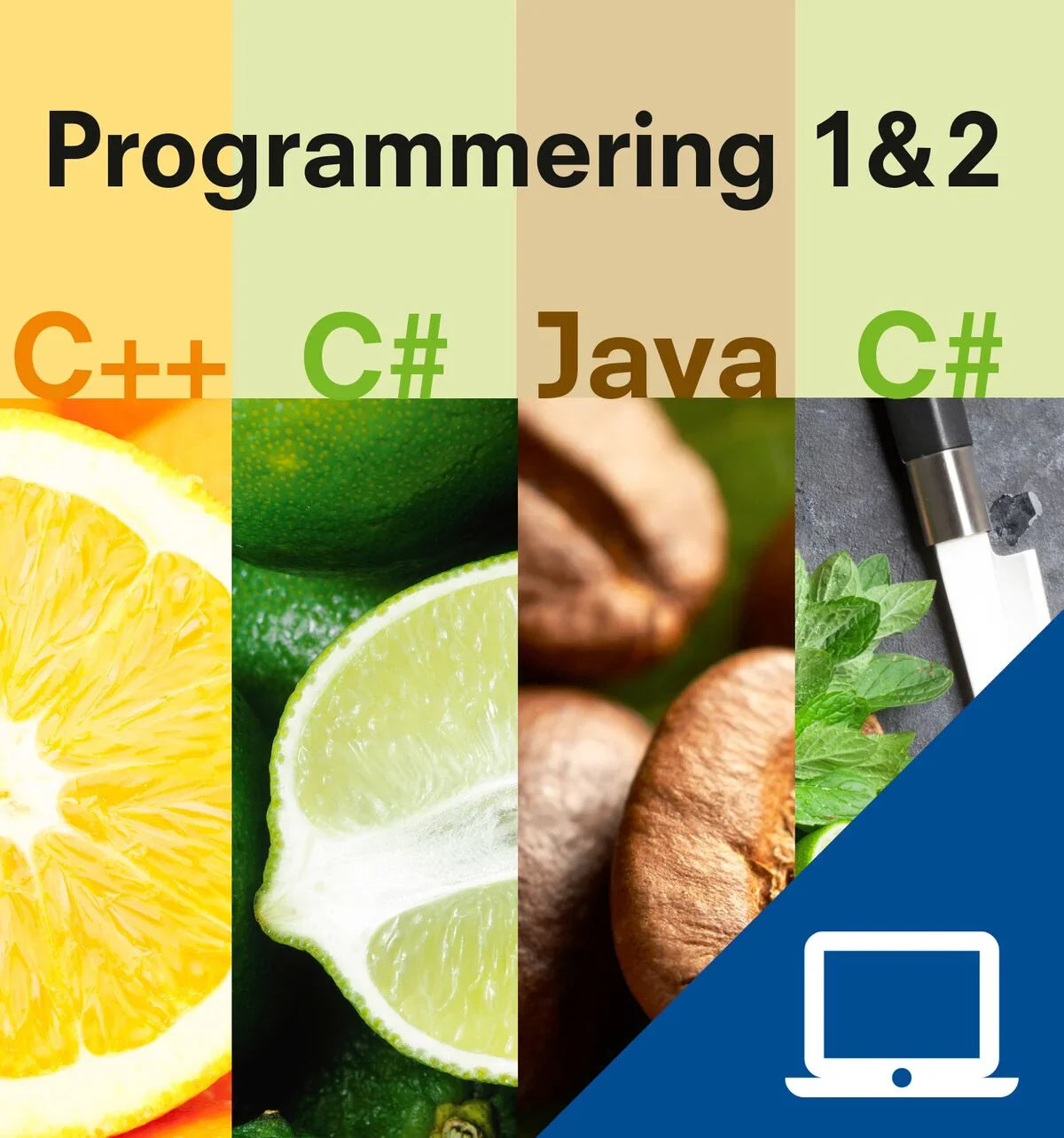 Programmering 1 & 2, digitalt lärarmaterial, 12 mån. (OBS! Endast för lärare)