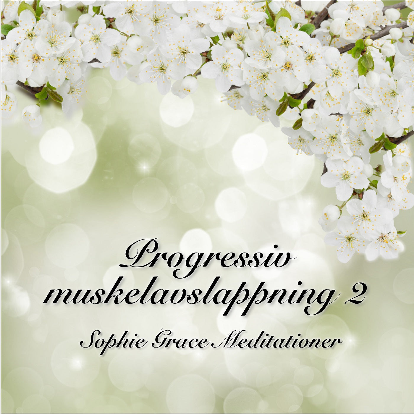Progressiv muskelavslappning 2 – Ljudbok