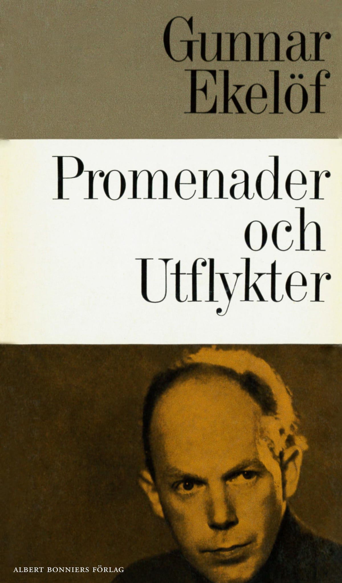 Promenader och utflykter : samlad småprosa – E-bok