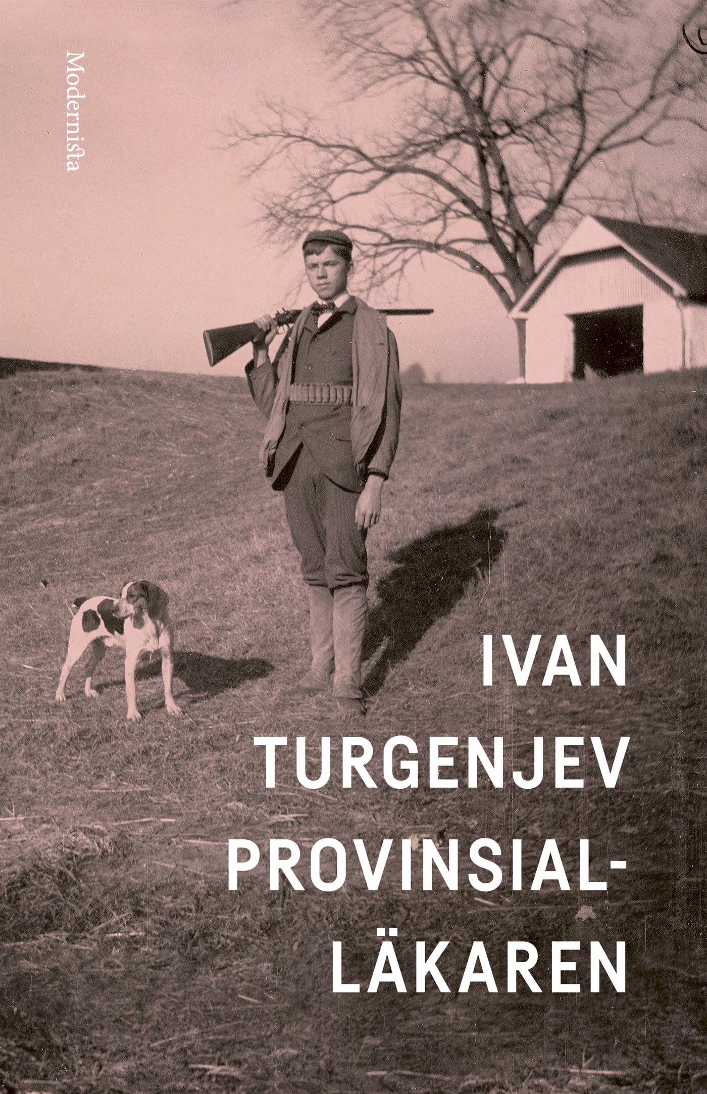 Provinsialläkaren – E-bok