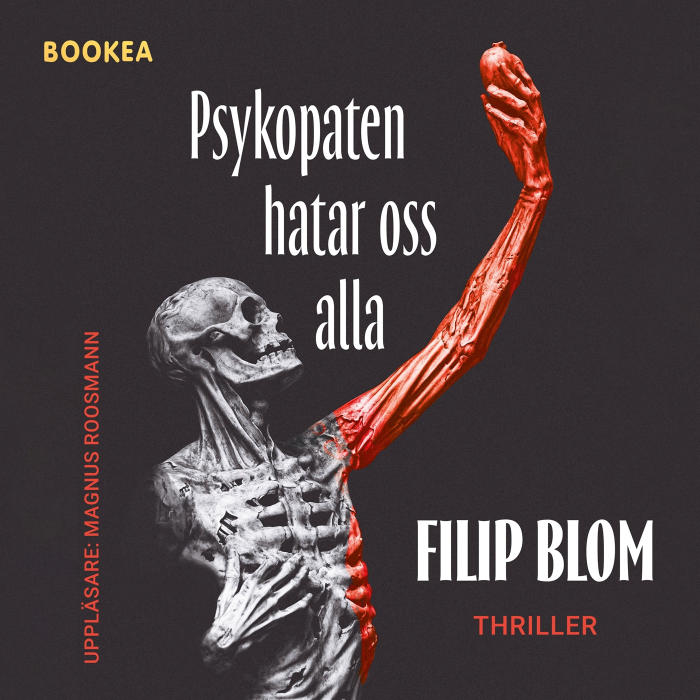Psykopaten hatar oss alla – Ljudbok
