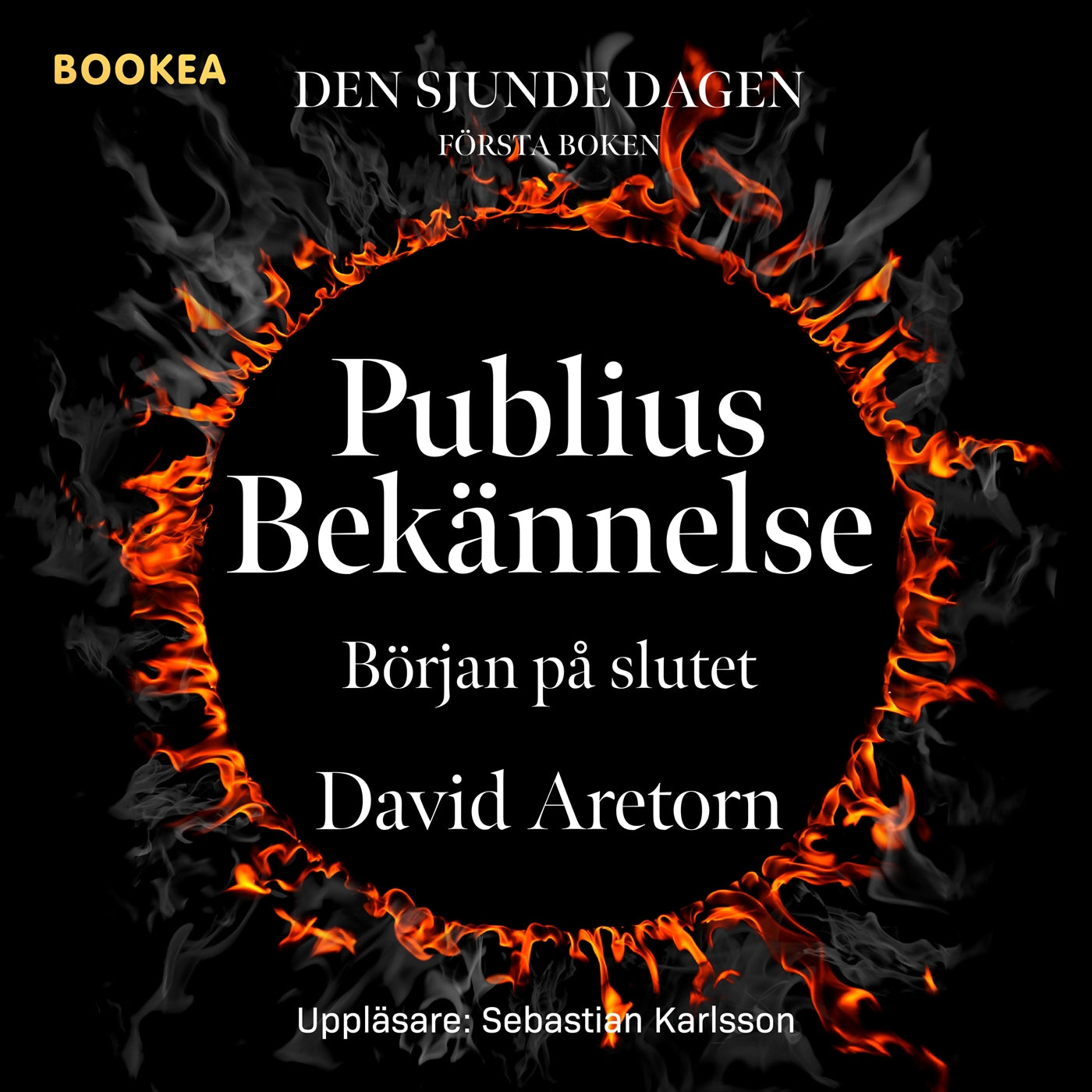 Publius bekännelse : början på slutet – Ljudbok