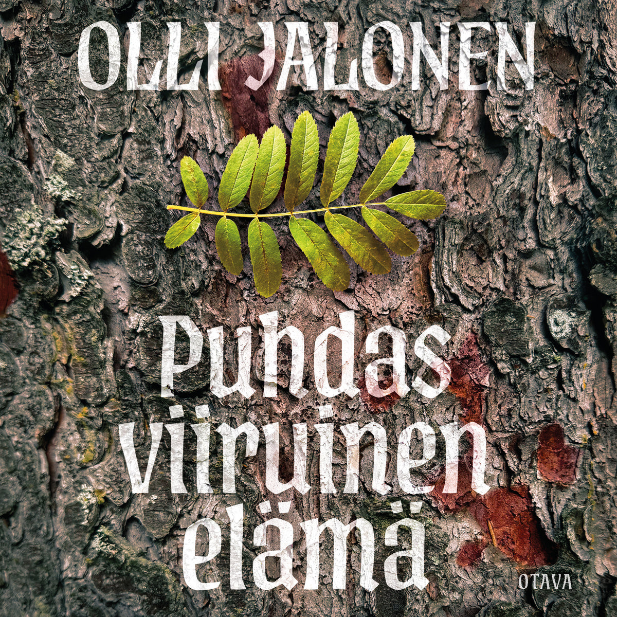 Puhdas viiruinen elämä – Ljudbok