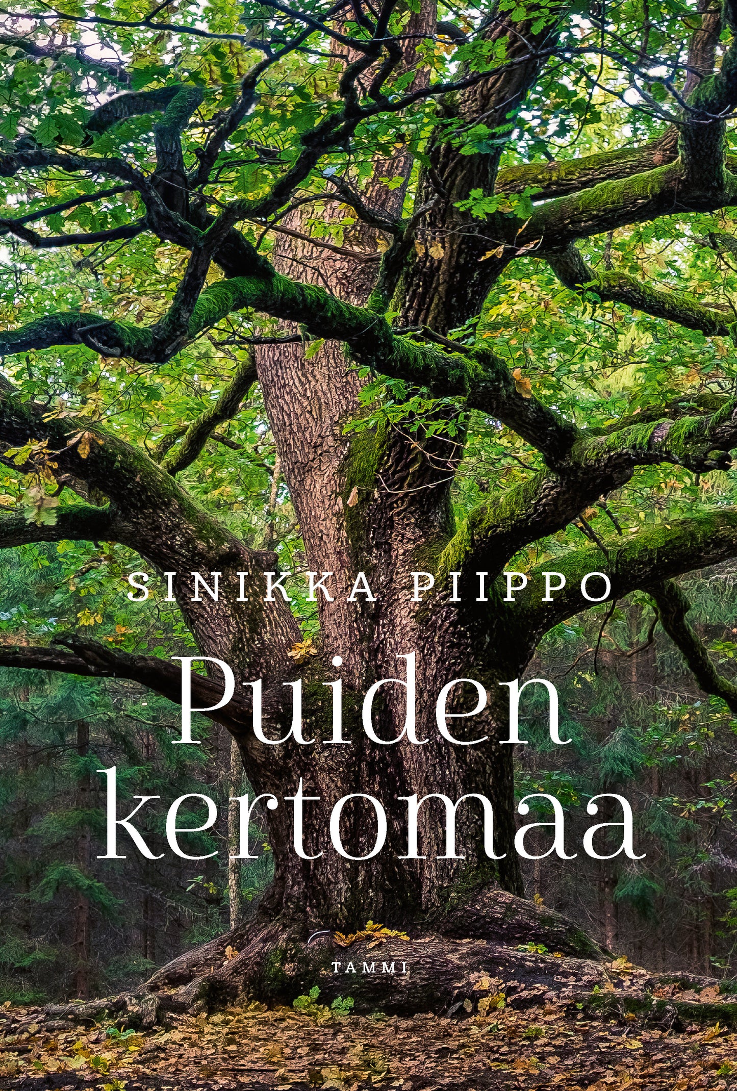 Puiden kertomaa – E-bok