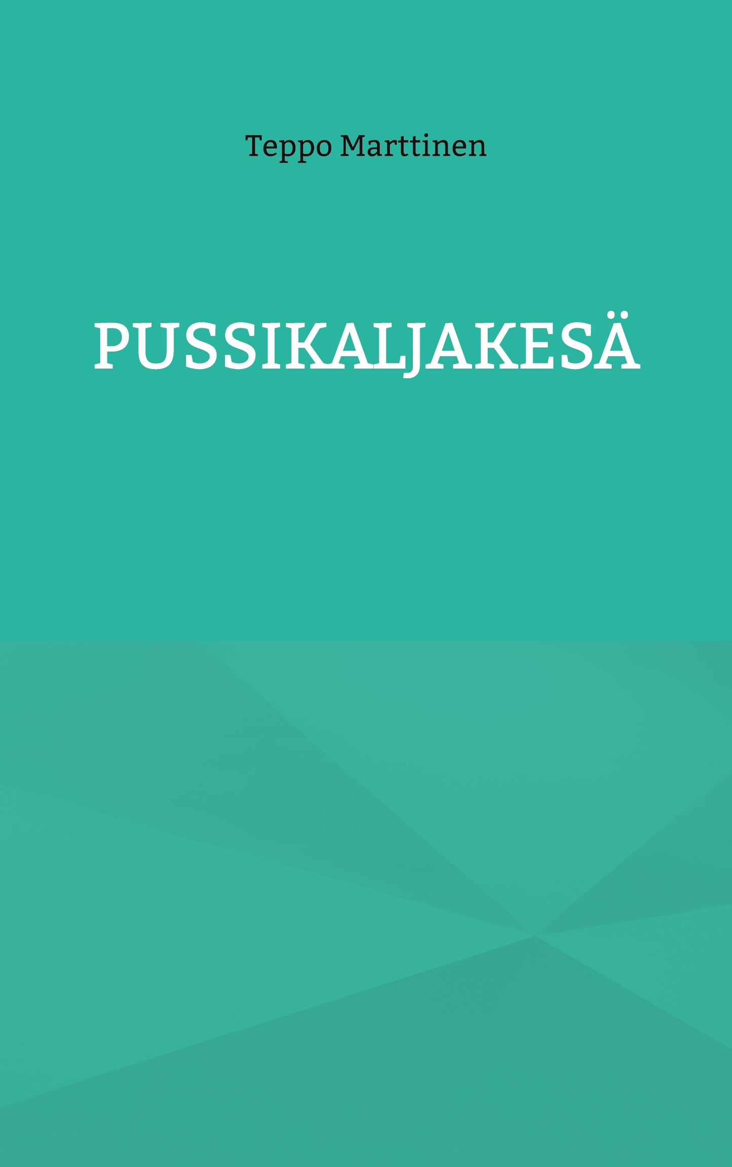 Pussikaljakesä – E-bok