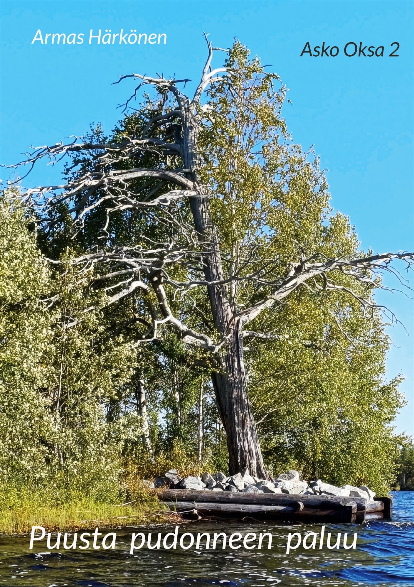 Puusta pudonneen paluu: Asko Oksa 2 – E-bok
