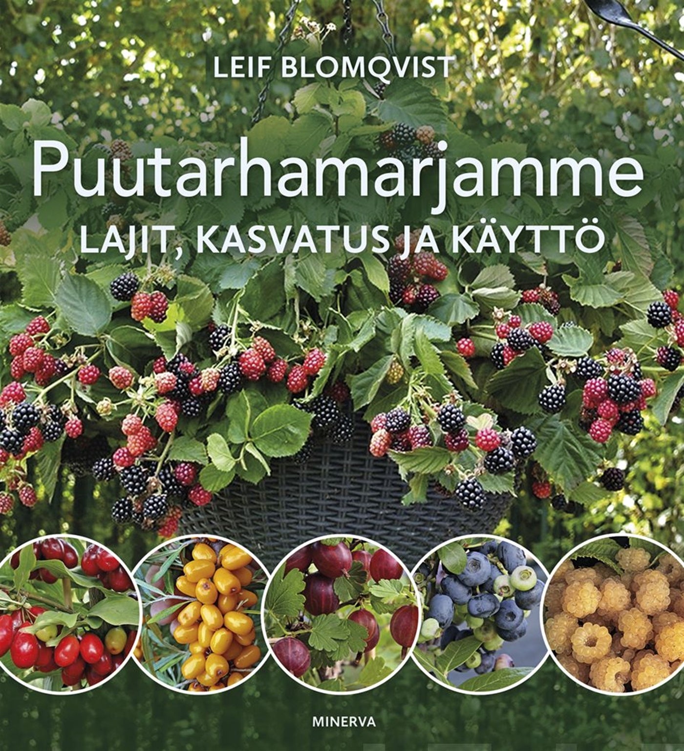 Puutarhamarjamme – E-bok