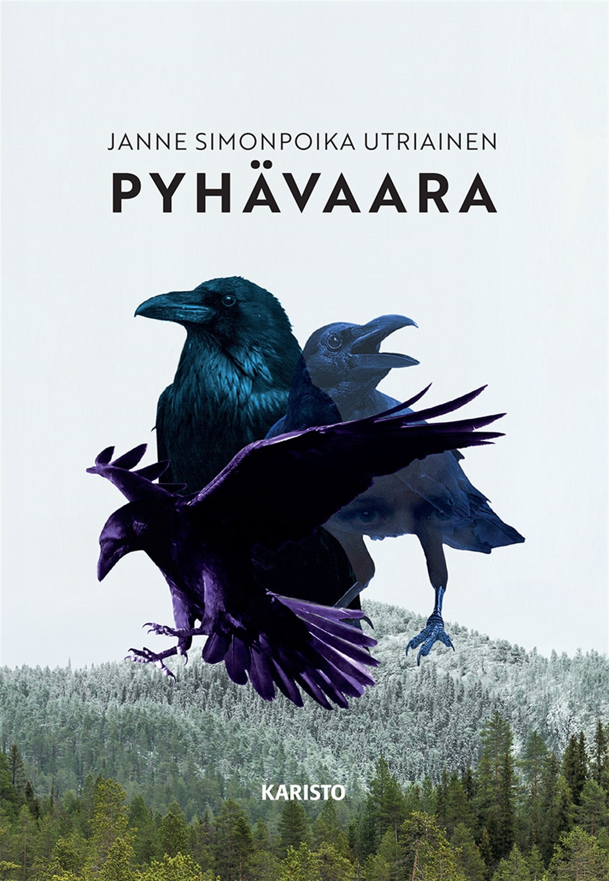 Pyhävaara – E-bok