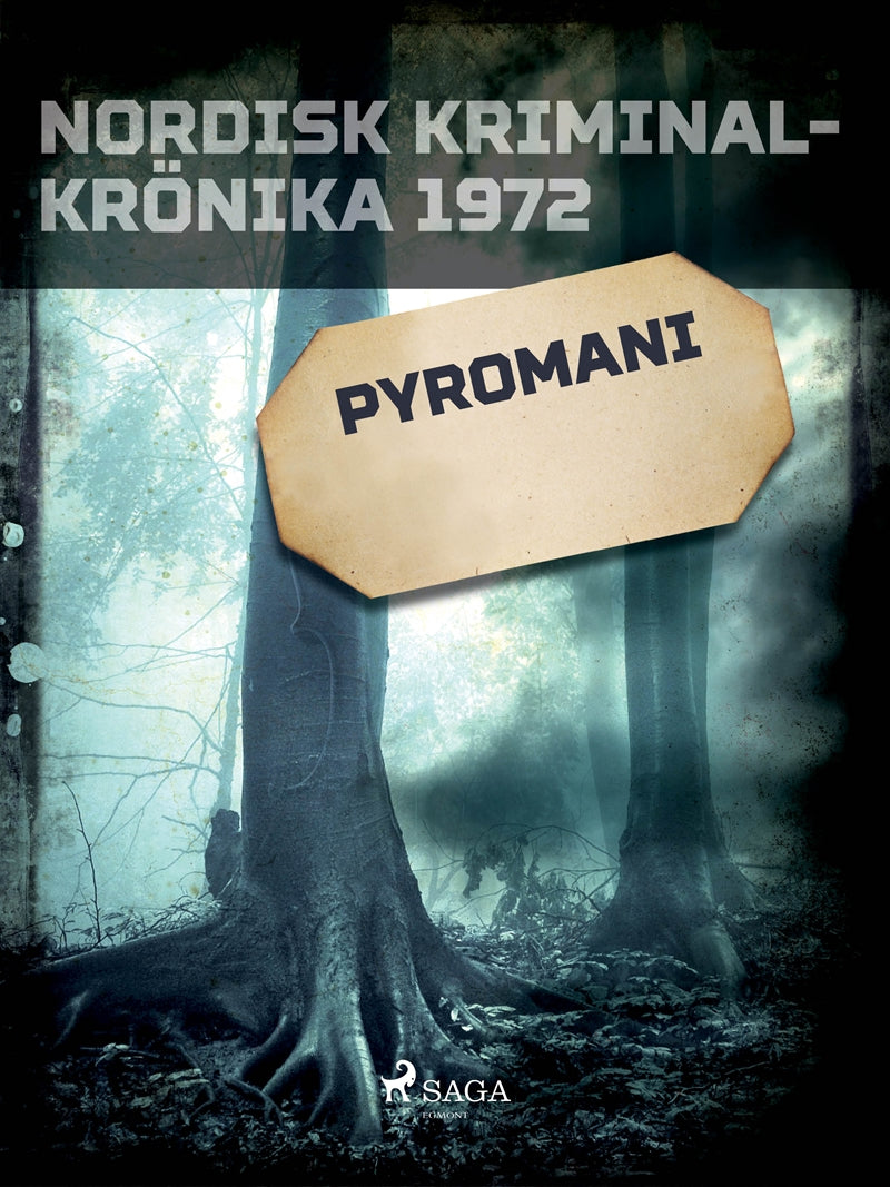 Pyromani – E-bok