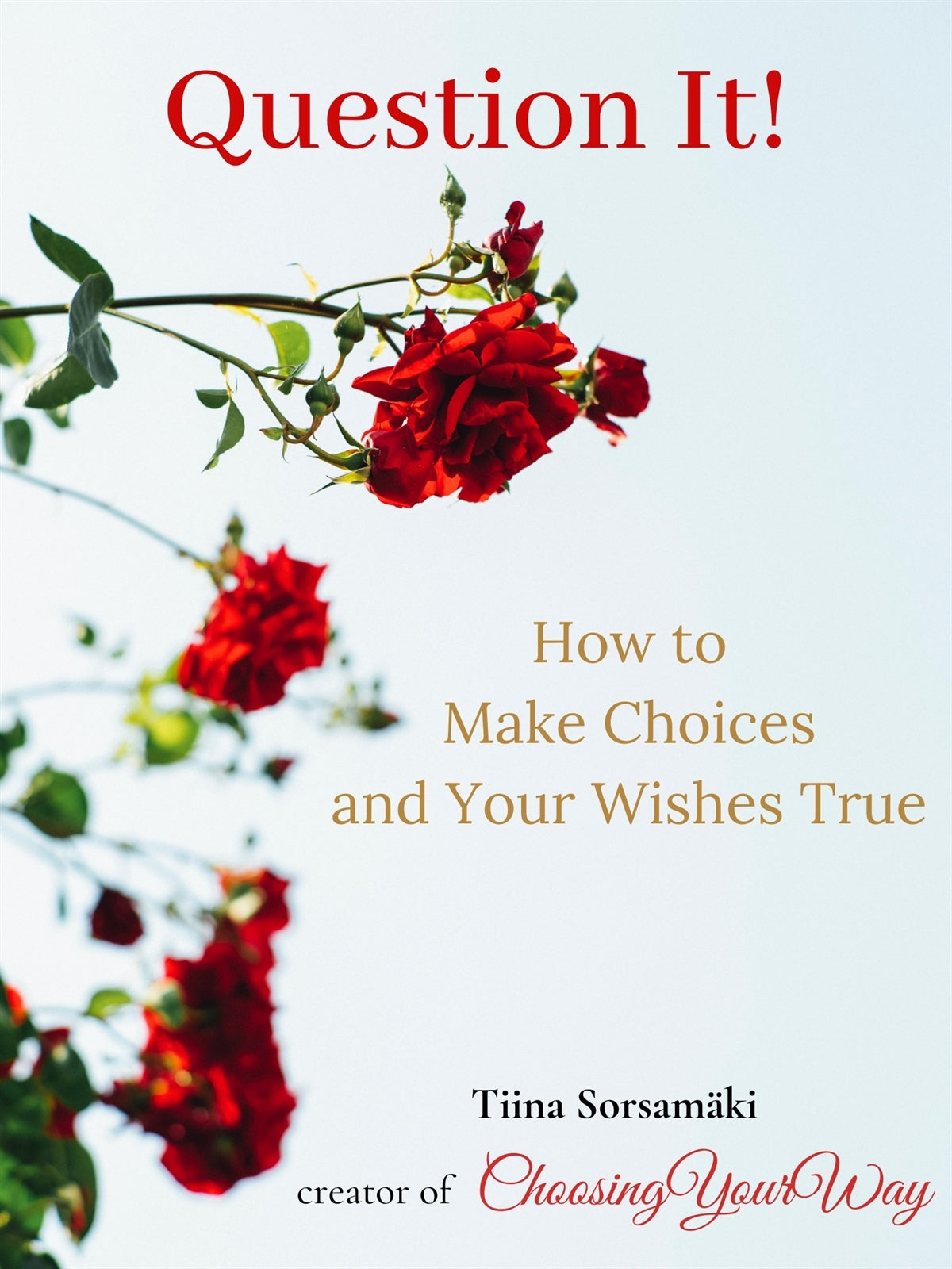 Question it! How to Make Choices and Your Wishes True – E-bok