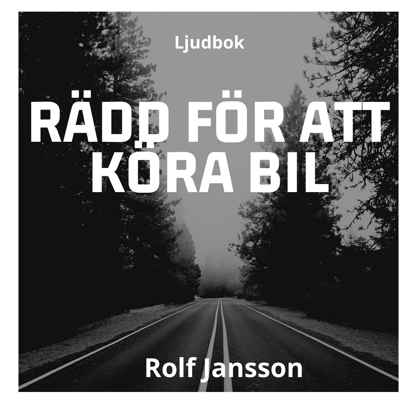Rädd för att köra bil: övervinn körskräck och ratträdsla – Ljudbok