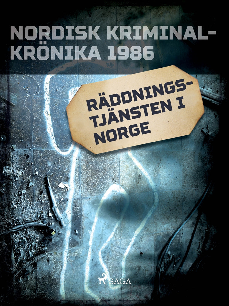 Räddningstjänsten i Norge – E-bok
