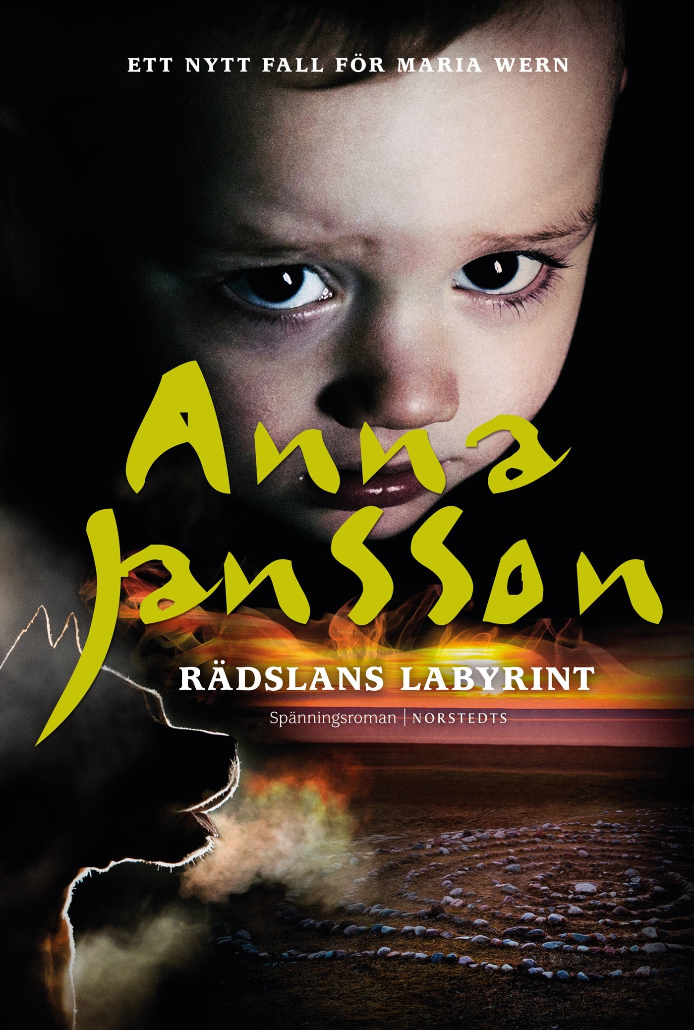 Rädslans labyrint – E-bok