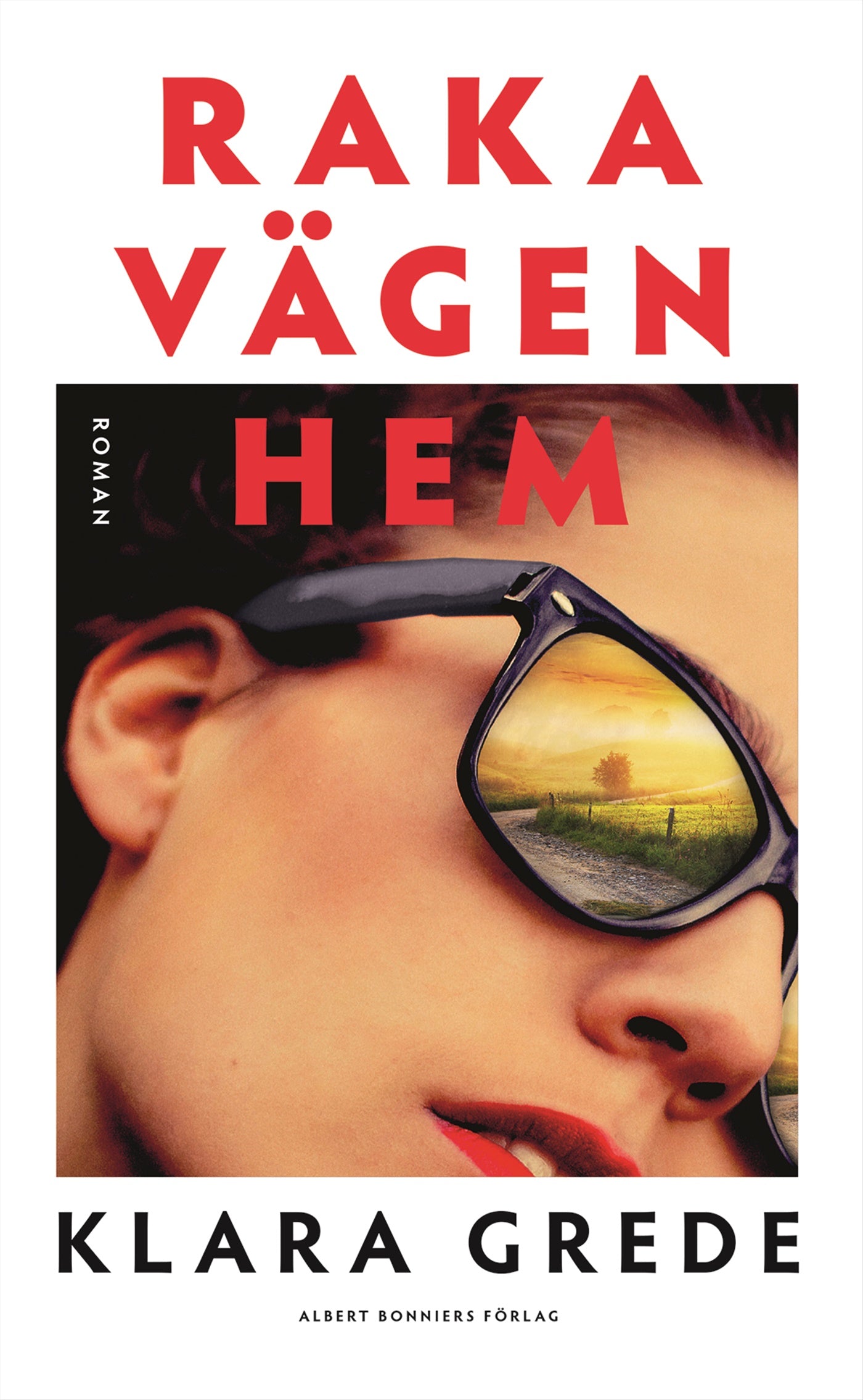 Raka vägen hem – E-bok