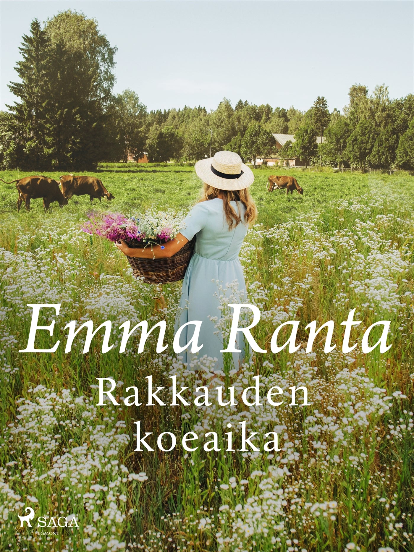 Rakkauden koeaika – E-bok
